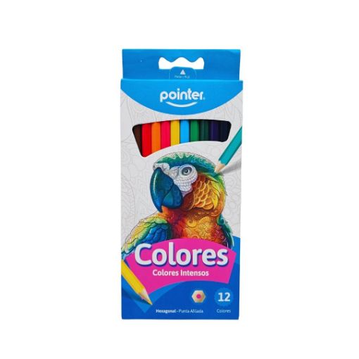 Imagen de LAPICES DE COLORES POINTER 1/12 