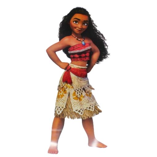 Imagen de LAMINA PARA DECORAR MOANA 1/1