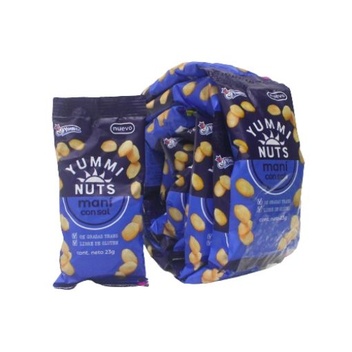 Imagen de MANI XIXI SALADO 24/12 