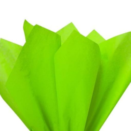 Imagen de PAPEL TISSUE VERDE MANZANA 20X26" 1/5 **