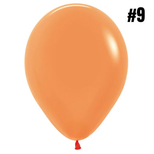 Imagen de VEJIGA 9 NARANJA BP 1/24 **